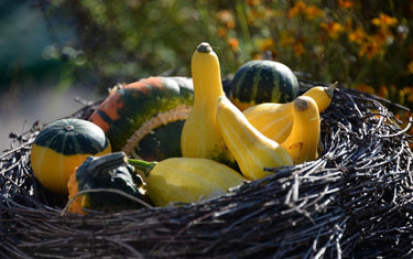 Garten-Café im Oktober