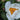 Paeonia lactiflora 'White Wings' Chinesische Edel-Pfingstrose