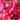 Phlox paniculata 'Pünktchen' Hohe Flammenblume