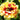 Potentilla x cult. 'Arc-en-Ciel' Fingerkraut