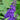 Buddleja 'Midnight' Sommerflieder