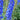 Delphinium x elatum 'Finsteraarhorn' Rittersporn