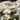 Leucanthemum vulgare 'Maistern' Wiesen-Margerite