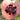 Papaver orientale 'Princes.Victoria Louise' Orientalischer Mohn