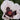 Papaver orientale 'Royal Wedding' Orientalischer Mohn