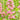 Lythrum salicaria 'Blush' Garten-Blut-Weiderich